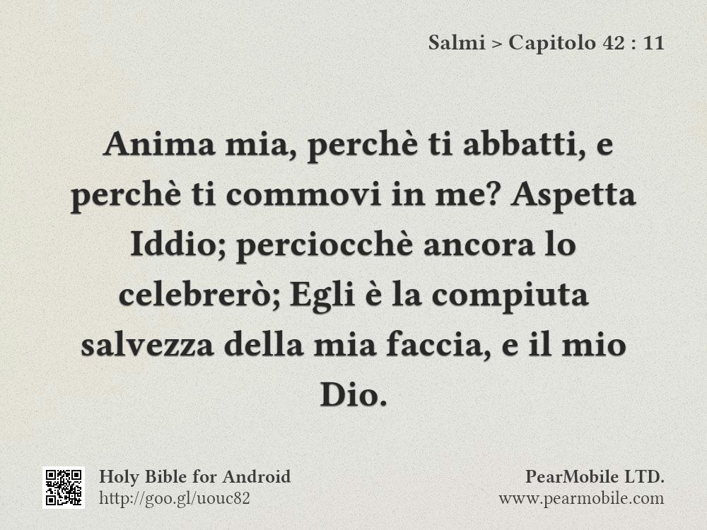 Salmi, Capitolo 42:11